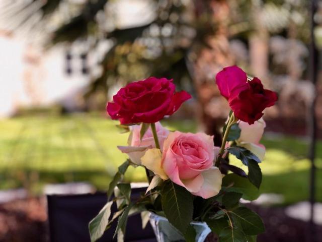 "Le Jardin" Chambre De Charme, Piscine A מרסו מראה חיצוני תמונה