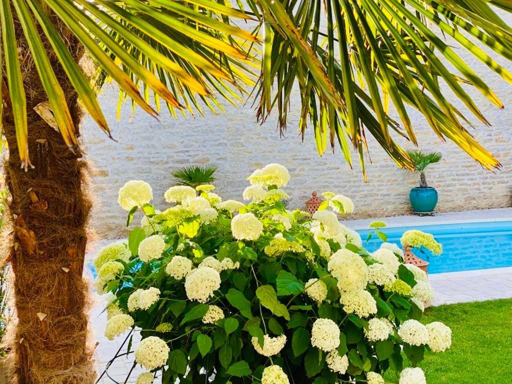 "Le Jardin" Chambre De Charme, Piscine A מרסו מראה חיצוני תמונה